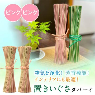 ふるさと納税 八代市 置きいぐさ(タバーイ)2本セット ピンク×ピンク_024-4648-PP-B