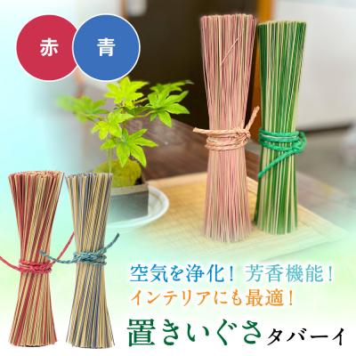 ふるさと納税 八代市 置きいぐさ(タバーイ)2本セット 赤×青_024-4648-RB-B