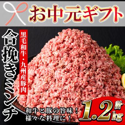 ふるさと納税 いちき串木野市 [お中元]黒毛和牛と九州産豚肉を使用した合挽きミンチ(300g×4P)