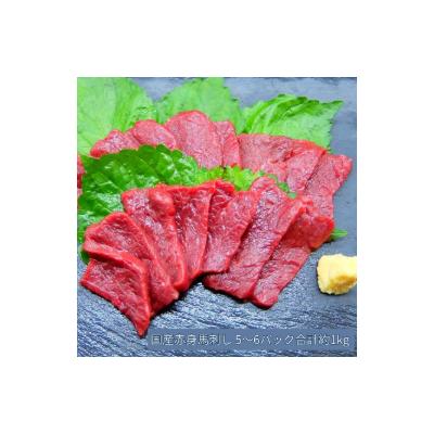 ふるさと納税 伊那市 国産 馬刺し 赤身 1kg(5〜6パック) 国産馬刺し 冷凍 伊那 信州[051-09]