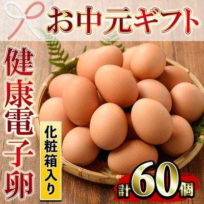 ふるさと納税 いちき串木野市 [お中元]鹿児島県産!健康電子卵(計60個・10個入り×6P)
