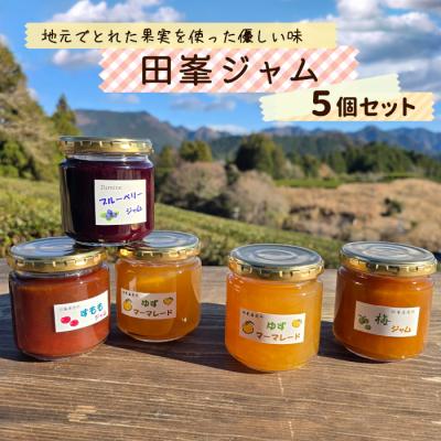 ふるさと納税 設楽町 田峯手作りジャム 5個セット アソート ジャム スイーツ 加工品 デザート パン
