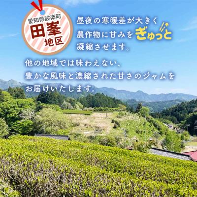 ふるさと納税 設楽町 田峯手作りジャム 5個セット アソート ジャム スイーツ 加工品 デザート パン |  | 01