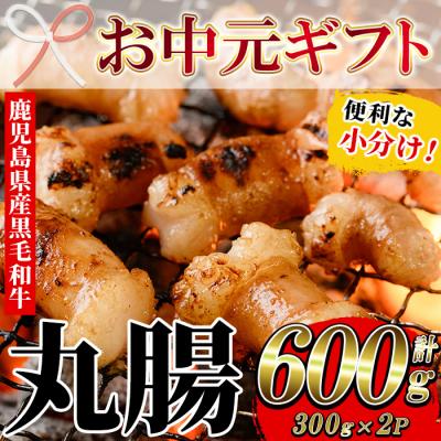 ふるさと納税 いちき串木野市 [お中元]鹿児島県産黒毛和牛ホルモン 丸腸 300g×2P