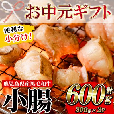 ふるさと納税 いちき串木野市 [お中元]鹿児島県産黒毛和牛の小腸 ホルモン 300g×2P