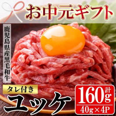 ふるさと納税 いちき串木野市 [お中元]黒毛和牛のユッケ 40g×4P タレ付き