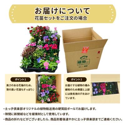 ふるさと納税 筑前町 季節の花苗24セット【価格改定】 |  | 03