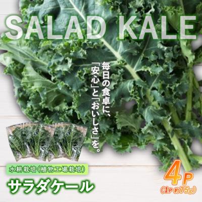 ふるさと納税 小山町 [無農薬]水耕栽培(植物工場栽培)サラダケール 300g(約75g×4P)