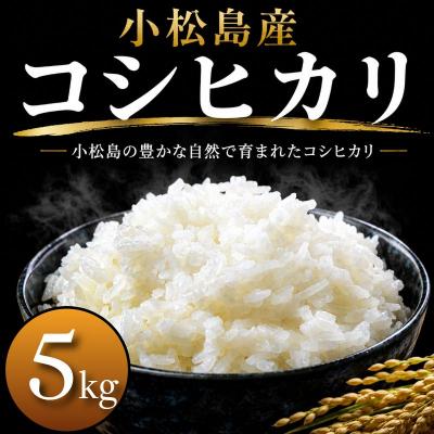 ふるさと納税 小松島市 令和7年産 コシヒカリ 5kg 白米 米 数量 限定 こしひかり 5キロ 米5kg