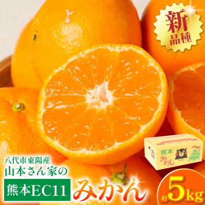 ふるさと納税 八代市 [先行予約]熊本EC11みかん 約5kg [2026年11月上旬より順次発送]_065-6459-A