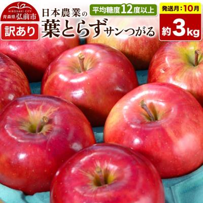 ふるさと納税 弘前市 りんご 葉とらずサンつがる 約3kg[訳あり]|24_nng-020301ae