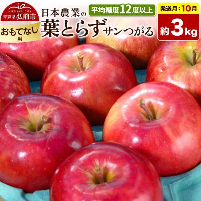 ふるさと納税 弘前市 りんご 葉とらずサンつがる 約3kg[おもてなし用]|24_nng-020301be