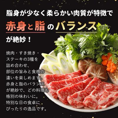 ふるさと納税 士幌町 北海道 士幌黒牛 十勝ポテ牛(も〜)ビーフ サーロイン バラエティ セット 800g[ST01-0]