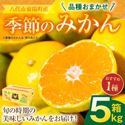 ふるさと納税 八代市 [先行予約] 季節のみかん5kg [2026年9月下旬より順次発送]_065-4728-F