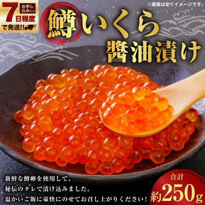 ふるさと納税 釧路市 [7日程度で発送]鱒いくら油漬け 250g