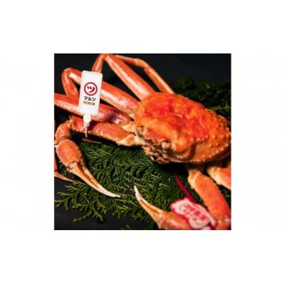 ふるさと納税 境港市 <土日祝着><11月上旬〜配送予定>[マルツPREMIUM]活〆ボイル松葉蟹(900g〜)