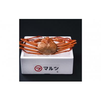 ふるさと納税 境港市 <土日祝着><10月上旬〜配送予定>蟹屋の釜茹で紅ずわい蟹(特大・1枚)