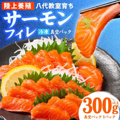 ふるさと納税 八代市 八代 教室育ちサーモン フィレ300g以上