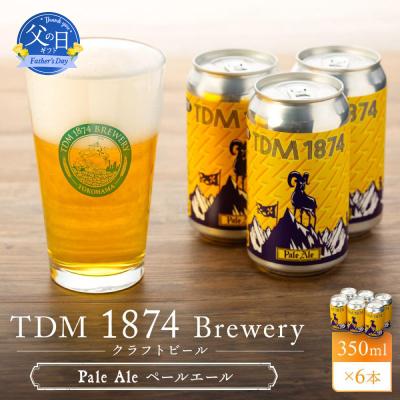 ふるさと納税 横浜市 [父の日ギフト]TDM 1874 Brewery クラフトビール Pale Ale 350ml×6本