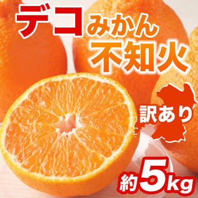 ふるさと納税 八代市 【先行予約】【訳あり】不知火 約5kg【2027年1月中旬より順次発送】_232-6724 | 