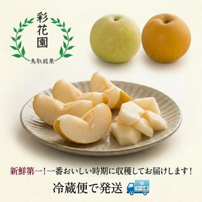 果物 Y ふるさと納税 八頭町 【2027年発送分先行受付】新甘泉(赤秀) 2.5kg【彩