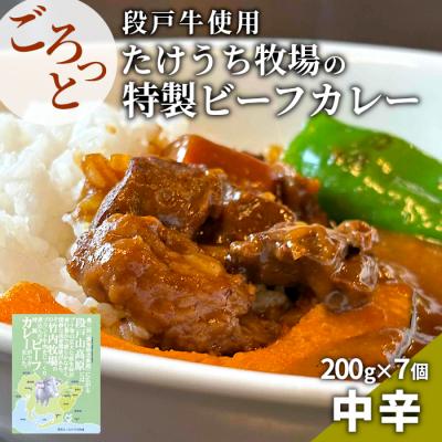 ふるさと納税 設楽町 国産牛 特性ビーフカレー 7個 ご当地カレー レトルト 牛肉 牛 煮込み
