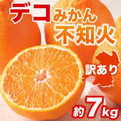 ふるさと納税 八代市 【先行予約】【訳あり】不知火 約7kg【2027年1月中旬より順次発送】_232-6725 | 