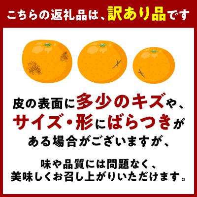 ふるさと納税 八代市 【先行予約】【訳あり】不知火 約7kg【2027年1月中旬より順次発送】_232-6725 |  | 03
