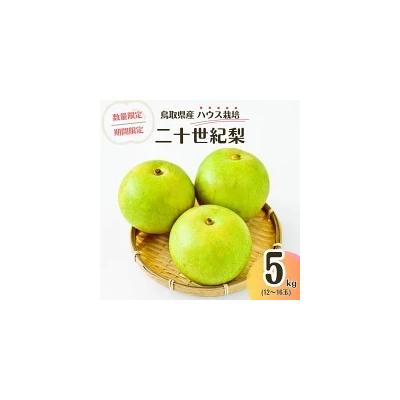 ふるさと納税 倉吉市 ハウス二十世紀梨[鳥取県産]5kg(生橋農園)