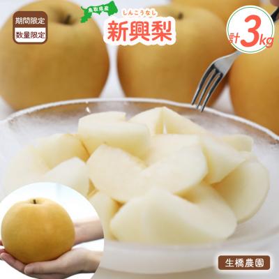 ふるさと納税 倉吉市 新興梨[鳥取県産]3kg(生橋農園)