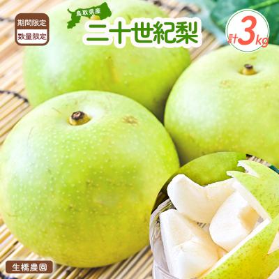 ふるさと納税 倉吉市 二十世紀梨[鳥取県産]3kg(生橋農園)