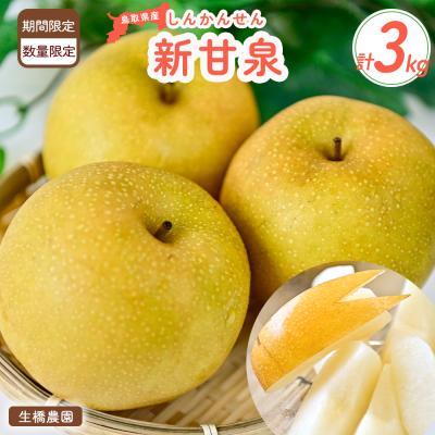 ふるさと納税 倉吉市 新甘泉[鳥取県産]3kg(生橋農園)
