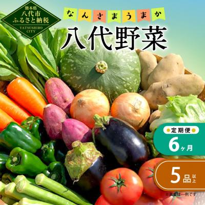 ふるさと納税 八代市 [定期便6回]なんさまうまか八代野菜セット 5品以上 やさい_001-2208-C