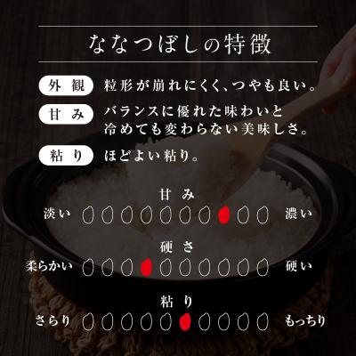 ふるさと納税 雨竜町 【新米予約】令和8年産 雨竜産 ななつぼし 精米 10kg(5kg×2袋)【定期便全6回】 |  | 01