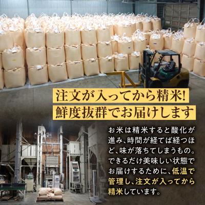 ふるさと納税 雨竜町 【新米予約】令和8年産 雨竜産 ななつぼし 精米 10kg(5kg×2袋)【定期便全6回】 |  | 03