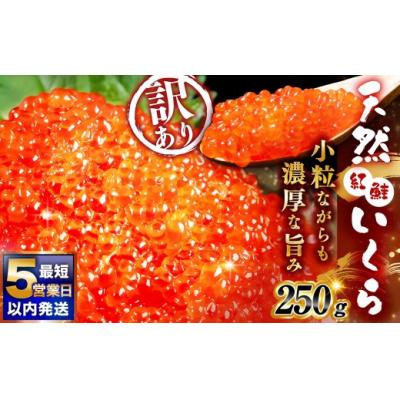 ふるさと納税 釧路市 8月発送 紅鮭いくら醤油漬け 250g