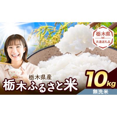 ふるさと納税 野木町 栃木ふるさと米 無洗米 10kg 栃木県 野木町[7-14日以内][栃木県共通返礼品]