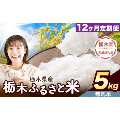 ふるさと納税 野木町 [12ヶ月定期便]栃木ふるさと米 無洗米 5kg 栃木県 野木町[翌月から出荷][栃木県共通返礼品]
