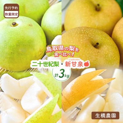 ふるさと納税 倉吉市 新甘泉と二十世紀梨の食べ比べセット[鳥取県産]3kg(生橋農園)