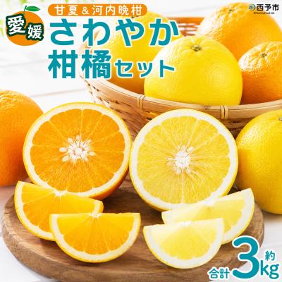 ふるさと納税 西予市 <愛媛県西予市産 さわやか柑橘セット 合計約3kg夕焼け山農園 明浜
