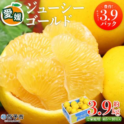 ふるさと納税 西予市 <愛媛県西予市産 ジューシーゴールド 家庭用 豊作 サンキューパック 合計約3.9kg>宇都宮物産