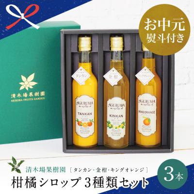 ふるさと納税 南さつま市 [お中元ギフト]柑橘シロップ 3本セット<金柑・タンカン・キングオレンジ>