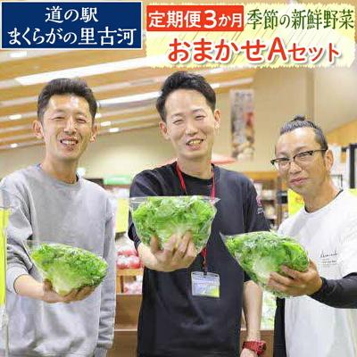 ふるさと納税 古河市 [定期便3か月]道の駅まくらがの里古河 季節の新鮮野菜おまかせAセット | 野菜 _BQ05