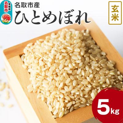 ふるさと納税 名取市 米 令和7年産 宮城県 名取市産 ひとめぼれ[玄米] 5kg|21_kkn-010501