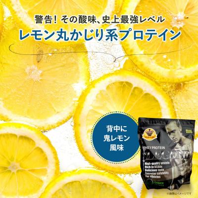 ふるさと納税 下関市 ビーレジェンド WPCプロテイン 背中に鬼レモン風味 900g 1袋 OB101-A |  | 01