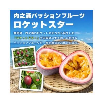 ふるさと納税 肝付町 [先行受付]鹿児島県産パッションフルーツ ロケットスター(1個90g以上・約3.0kg)B99001