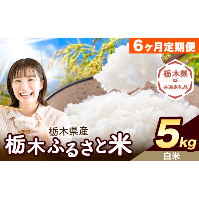 ふるさと納税 野木町 [6ヶ月定期便]栃木ふるさと米 白米 5kg 栃木県 野木町[翌月から出荷][栃木県共通返礼品]