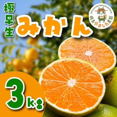 ふるさと納税 小松島市 [先行予約] [2026年10月順次発送] 極早生みかん 3kg みかん 温州みかん 極早生 柑橘