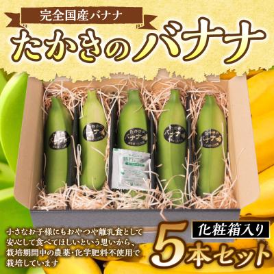 ふるさと納税 八代市 たかきのバナナ5本入 化粧箱入り ばなな 果物_131-4126-C