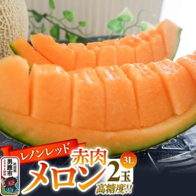 ふるさと納税 男鹿市 R8年産 先行受付 メロン2玉(レノンレッド) 秋田県 男鹿市|23_bla-010201